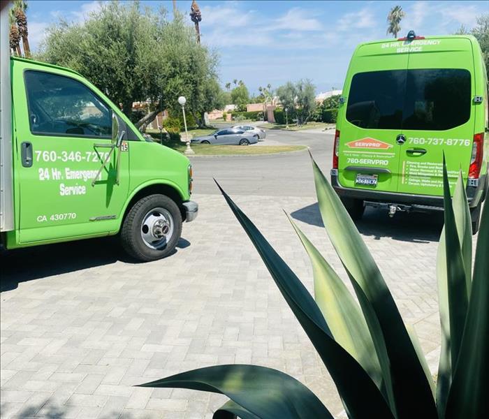 Green van in front of plant