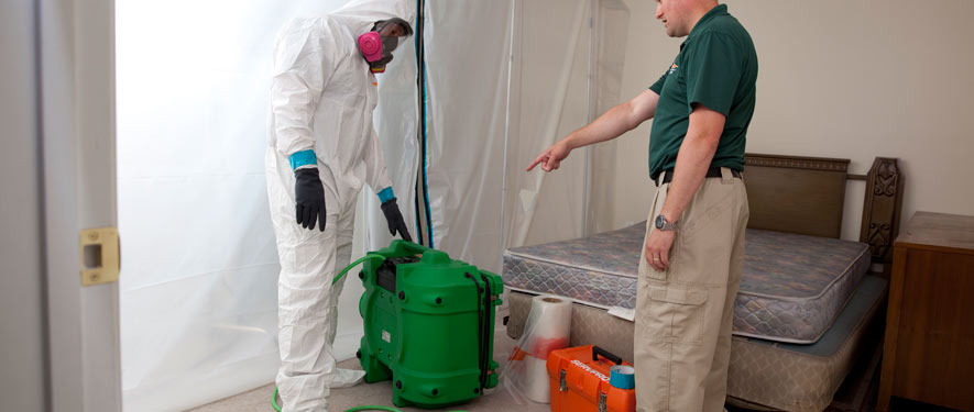 Palm Desert, CA mold removal process