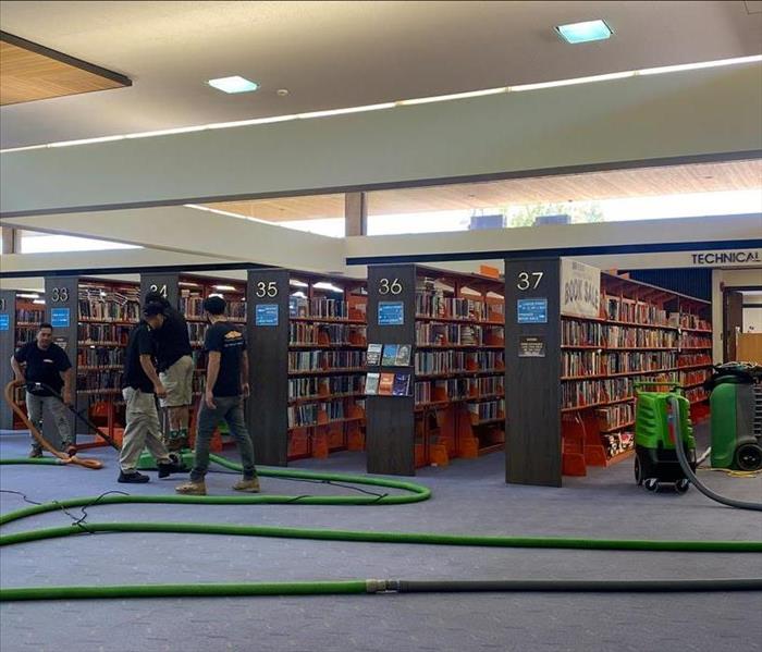 Library Rows Green Hose Man Cleaning